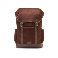 bruin (± PMS brown)